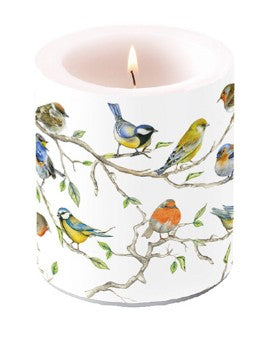 Kaars, candle, Ambiente, vogels, birds, vogel, bird, takken, kaarsaansteken, lont, stompkaars, branden, koolmeesje, roodborstje, vink, mees, tjilpen