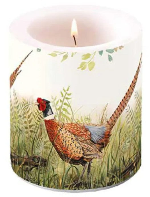 Kaars Glorious pheasant / fazant