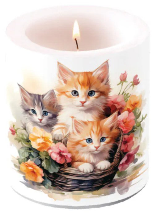 Kaars, candle, stompkaars, kat, katten, kitten, poes, poezen, huisdier, kaarsbranden, Ambiente, stompkaars, blokkaars