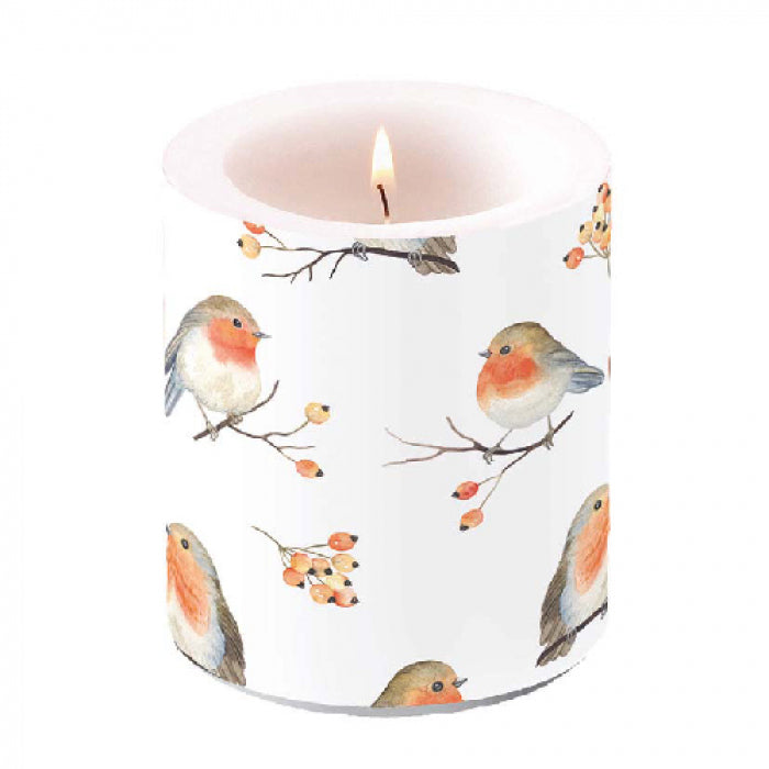 Kaars, candle, Ambiente, paddenstoel, bloemen, vogels, birds, vogel, bird, herfst, bladeren, fungus, rode bes, rodebes, takken, purple, paars, flower, kaarsaansteken, lont, stompkaars, roodborstje, Robin, bessen, besjes
