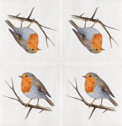 Servet Roodborstje, Esschert Design, Esschert, Servet, napkin, cadeau, vogel, bird, bloem, flower, servetten, napkins, tafeldekken, tafel dekken, DIY, modpodge, tafeldecoratie, diner, lunch, eten, dinner, scrapbook, scrapbooking, koolmees, roodborstje, mees, vink, mus, decoupage