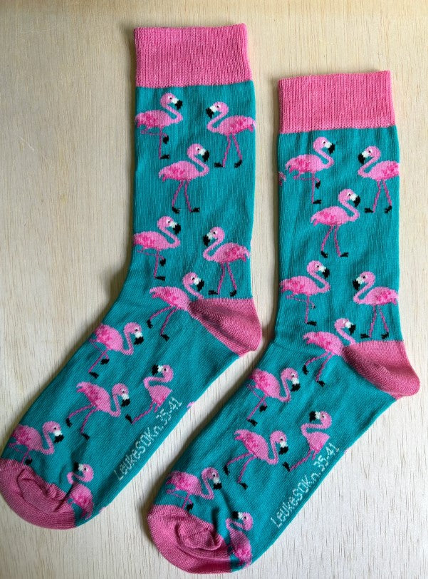 Sokken flamingo, flamingo, roze, rose, vogel, dierentuin, zomer, Afrika, lange nek, grote snavel, snavel, bird, poten