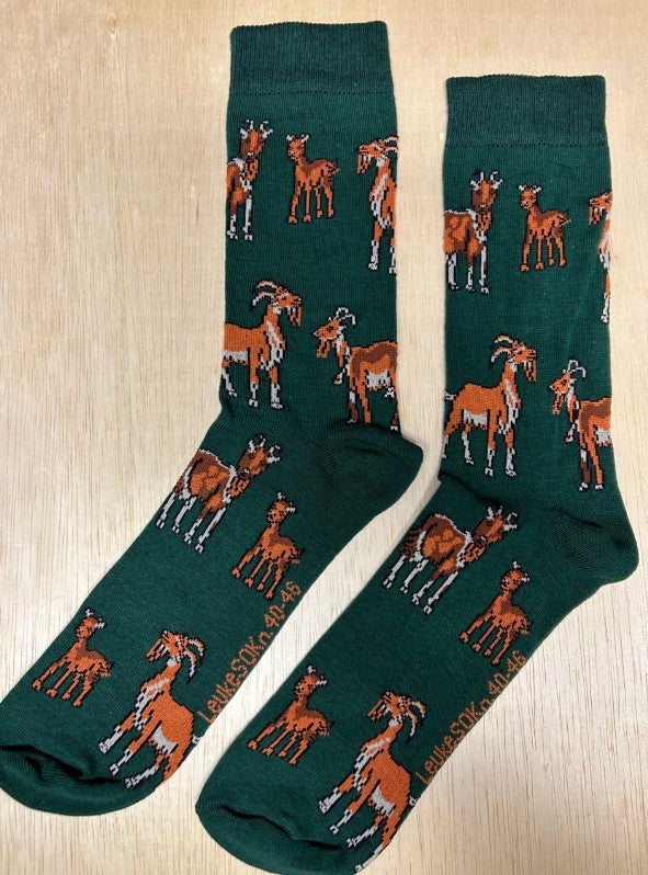 Sokken, sok, geit, geiten, weiland, sik, dierentuin, dierenpark, dier, goat