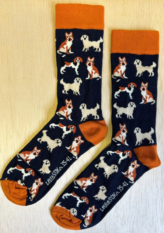 Sokken, sok, hond, honden, dog, dogs, huisdier, huisdieren, kat en hond, pet, animal, dieren