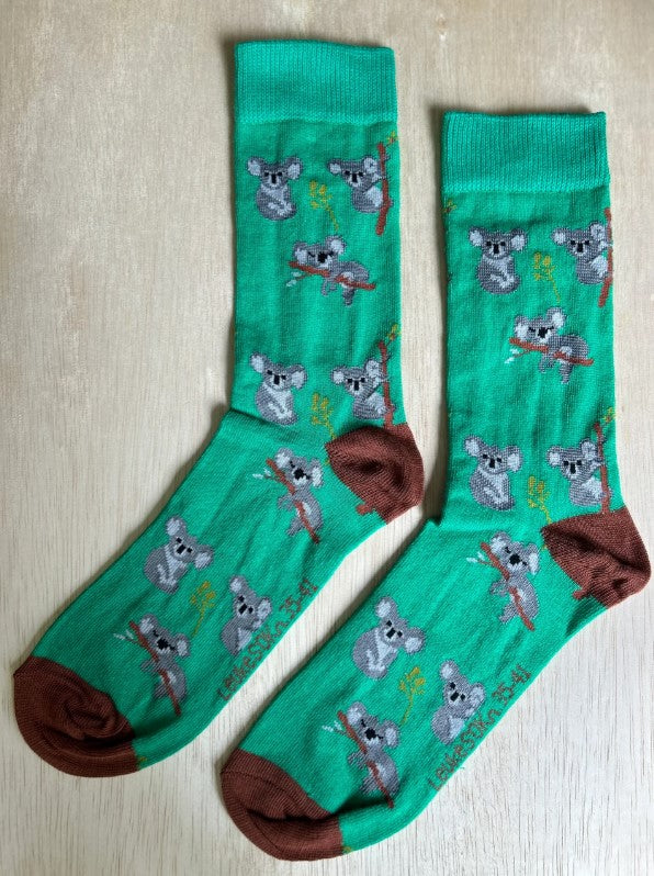 Sokken Koala, Koalabeer, jungle, Australië, dierentuin, dier, buideldier