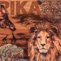 <p>Servet Africa collage</p> <p>Servet met een collage van Afrikaanse dieren en wel een leeuw, luipaard, zebra's en giraffen.<br>Kleur van origineel kan iets afwijken van foto. </p> <p><br></p> <p>Aantal servetten per pak: 20 </p> <p>Merk: ti-flair</p> <p>Afmeting: 33x33 cm</p>