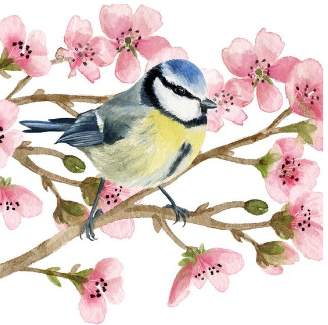 Servet, servetten, dineren, Pimpelmees, Esschert Design, napkin, napkins, servetten, DIY, modpodge, tafelen, mees, koolmees, koolmeesje, vogel, bird, birds, tafel dekken, natuur, decoupage, servet pimpelmees