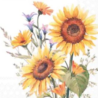 Servet, servetten, dineren, lunch, Ambiente, napkin, napkins, servetten, DIY, modpodge, tafelen, tafel dekken, natuur, decoupage, bloem, , boeket, bloemen, flower, flowers, tuinplanten, sunflowers, zonnebloemen, zonnebloem, zon