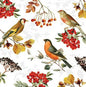 Servet, Ambiente, napkin, cadeau, vogel, bird, bloem, flower, servetten, napkins, tafeldekken, tafel dekken, DIY, modpodge, tafeldecoratie, diner, lunch, eten, dinner, scrapbook, scrapbooking, takken, bladeren, vogels, birds, bessen, rodebessen, winter, najaar, rood, herfst, autumn