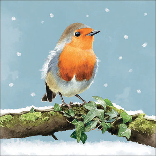 Servet, Ambiente, napkin, cadeau, vogel, bird, bloem, flower, servetten, napkins, tafeldekken, tafel dekken, DIY, modpodge, tafeldecoratie, diner, lunch, eten, dinner, scrapbook, scrapbooking, vogels, birds, Robin, roodborstje, roodborst, sneeuw, winter, feestdagen, kerst, sneeuwvlokken