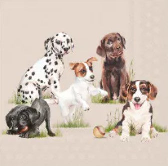 Servet, napkin, cadeau, servetten, napkins, zomer, summer, tafelen, drinken, uit eten, uiteten, Ambiente, Ambiente Europe, hond, honden, dog, dogs, puppies, puppy, Dalmatiër,, decoupage, scrapbook, scrapbooking, hobby, knippen en plakken, DIY