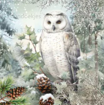 Servet Snowy owl