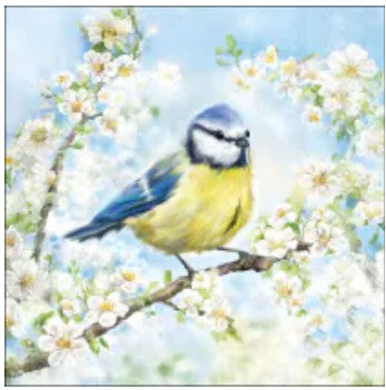 Servet, Pimpelmees, Ambiente, napkin, napkins, servetten, DIY, modpodge, tafelen, mees, koolmees, koolmeesje, vogel, bird, birds, tafel dekken, natuur, decoupage, servet pimpelmees, bloesem, blossom, lente, tjilpen
