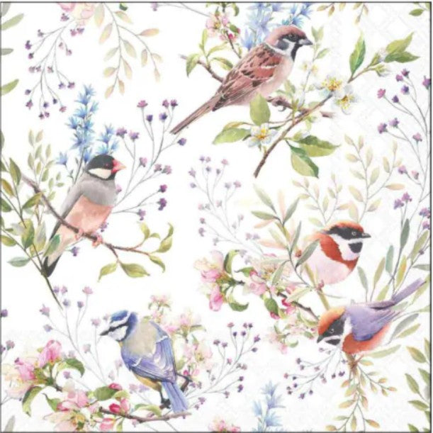 Servet Busy birds, Ambiente, Servet, napkin, cadeau, vogel, vogels, birds, bird, servetten, napkins, tafeldekken, tafel dekken, DIY, modpodge, tafeldecoratie, diner, lunch, eten, dinner, scrapbook, scrapbooking, vogeltje, mus, koolmeesje, koolmees, pimpelmees, pimpelmeesje,  roodborstje, takken, bladeren, bloemen, vleugels, tjilpen