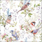 Servet Busy birds, Ambiente, Servet, napkin, cadeau, vogel, vogels, birds, bird, servetten, napkins, tafeldekken, tafel dekken, DIY, modpodge, tafeldecoratie, diner, lunch, eten, dinner, scrapbook, scrapbooking, vogeltje, mus, koolmeesje, koolmees, pimpelmees, pimpelmeesje,  roodborstje, takken, bladeren, bloemen, vleugels, tjilpen
