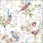 Servet Busy birds
