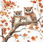 Cocktail servet Family of owls