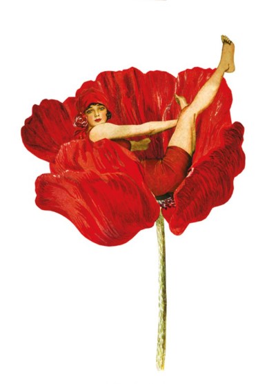 Ansichtkaart, postcard, Lilys, bloem, flower, bloemen, flowers, dame, lady, roos, rozen, rose, roses, klaproos