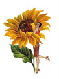 Ansichtkaart, postcard, Lilys, bloem, flower, bloemen, flowers, dame, lady, zonnebloem, zonnebloemen, sunflower, voorjaar, voorjaarsbloemen