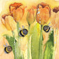 Kaart Tulips, wenskaart, tulp, tulpen, tulip, tulips, boeket, bloem, bloemen, voorjaar, voorjaarsbloem, flower, flowers, kaartje sturen, kaart, kaarten, card, cards, notecard, Alex Clark, felicitatiekaart, bij, bijen, zoemen, bees