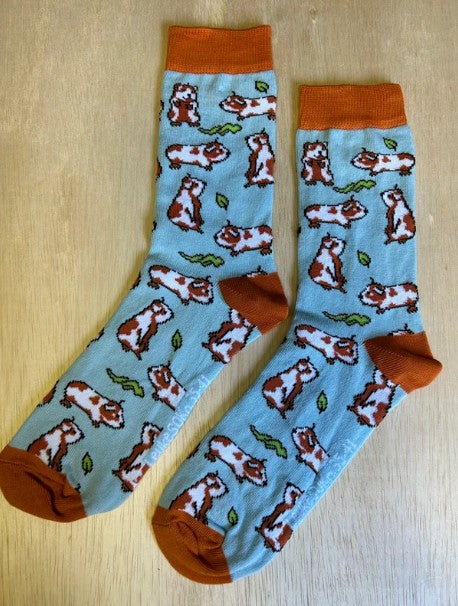 Sokken, Cavia's, Sok, sock, socks, stocking, cavia, cavia's, huisdier, huisdieren, marmot
