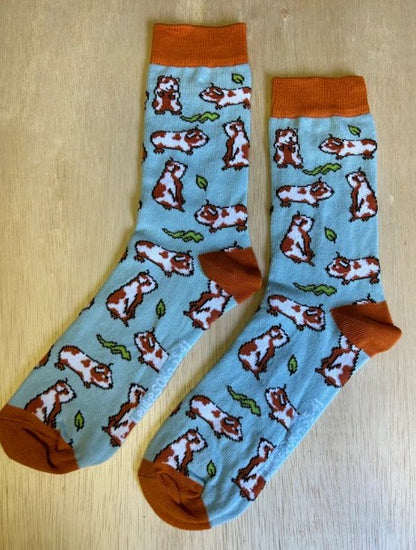 Sokken, Cavia's, Sok, sock, socks, stocking, cavia, cavia's, huisdier, huisdieren, marmot