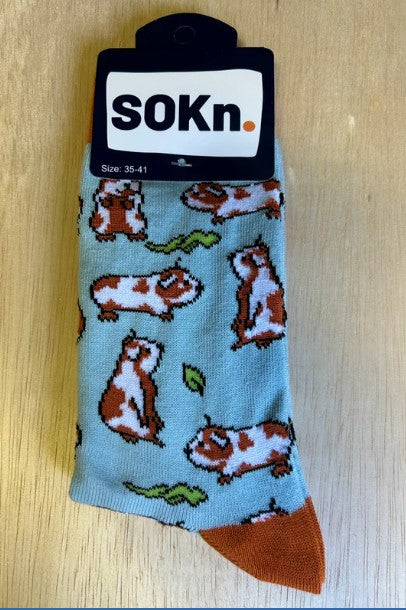 Sokken Cavia's