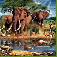 <p>Servet Afrika Animals</p> <p>Servet met verschillende Afrikaanse dieren bij het water.<br>Je ziet o.a. olifanten, zebrapaard en flamingo's.<br>Kleur van origineel kan iets afwijken van foto.</p> <p><br></p> <p>Merk:&nbsp;Maki Pol-Mak Collection</p> <p>Aantal servetten per pak: 20</p> <p>Afmeting: 33x33 cm</p>