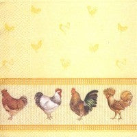 Servet Chicken Farm yellow