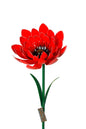 Bloem, bloemsteker, tuinsteker, tuinaccessoires, aster, aseraceae, bloemen, tuin, bloementuin, bloemenplukken, plukken, bloemprikker