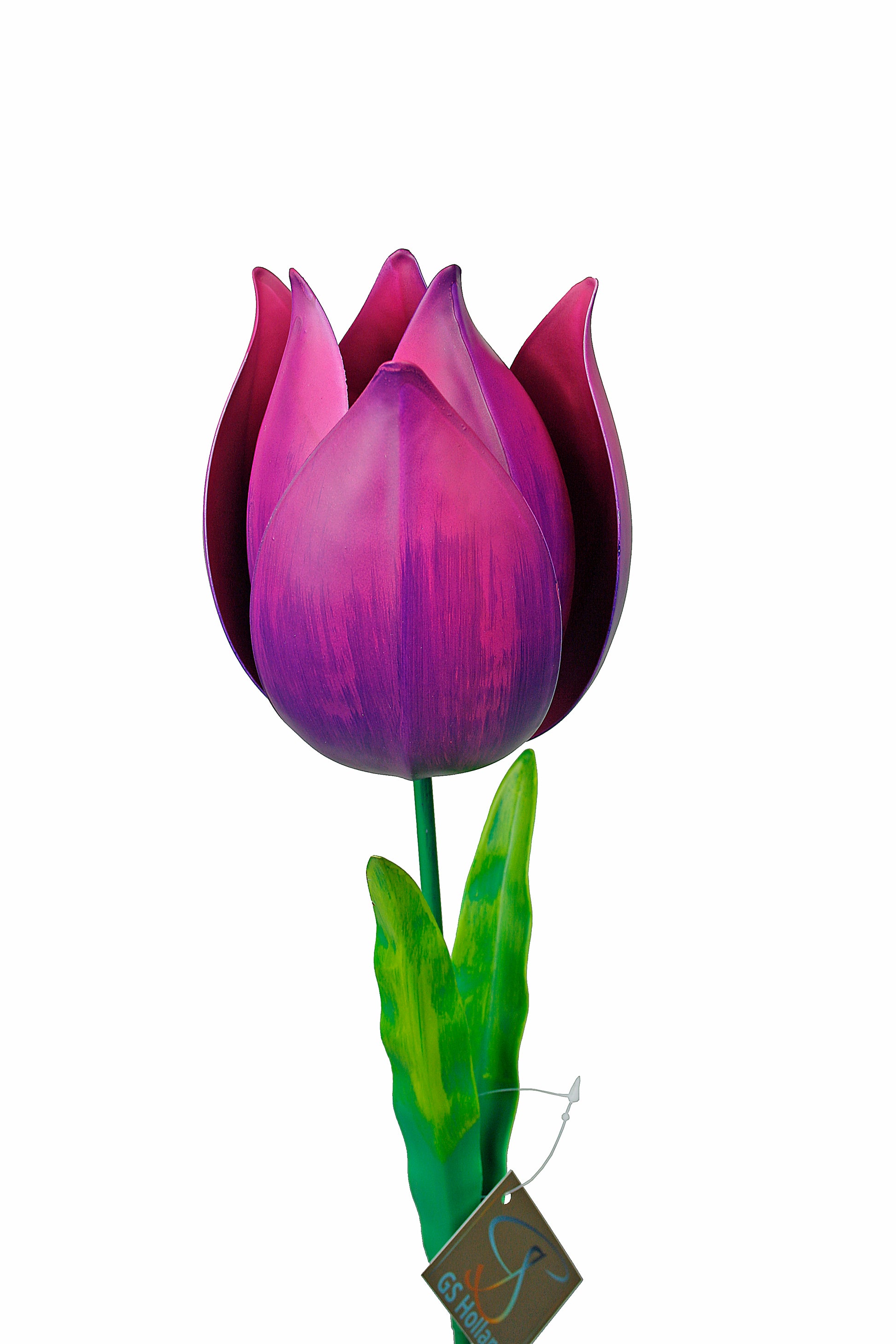 Bloem, bloemsteker, tuinsteker, tuinaccessoires, tulp, tulpen, tulip, tulips, bloemen, tuin, bloementuin, bloemenplukken, plukken, bloemprikker, bloembol, bloeien
