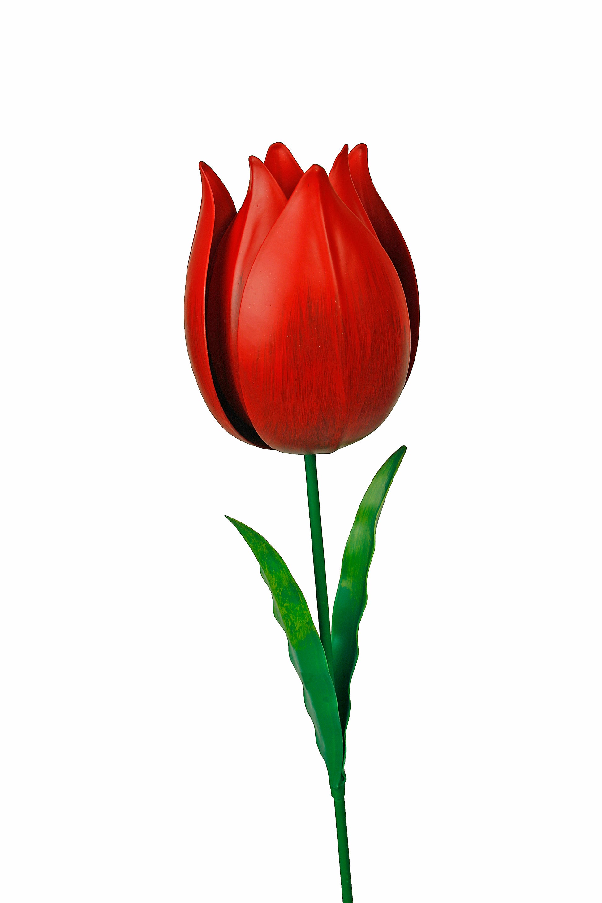 Bloem, bloemsteker, tuinsteker, tuinaccessoires, tulp, tulpen, tulip, tulips, bloemen, tuin, bloementuin, bloemenplukken, plukken, bloemprikker, bloembol, bloeien